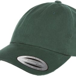 SPRUCE - LOW PROFILE COTTON TWILL DAD HAT